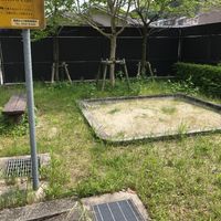 朝田 - 投稿画像1