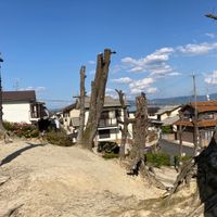 泉原第3号児童公園 - 投稿画像2