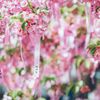 桜神宮 - トップ画像