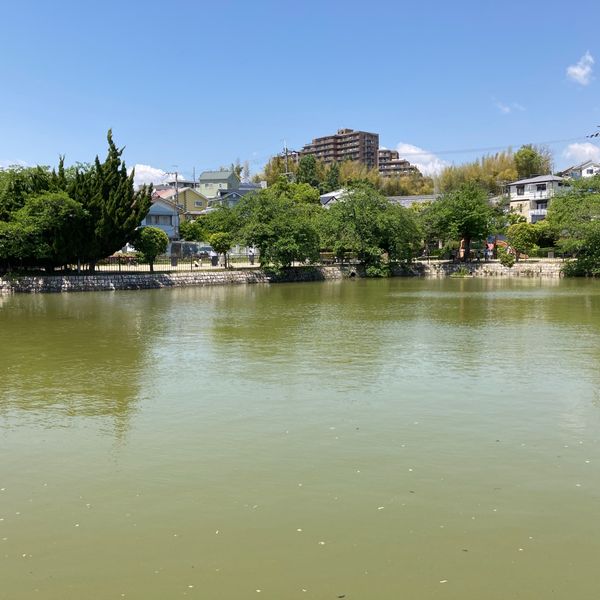 宮が谷池公園 - おすすめ画像