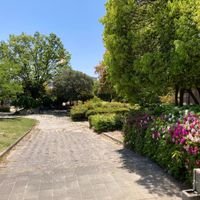 もものき公園 - 投稿画像3