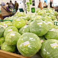 JA大阪泉州農産物直売所 こーたり～な - 投稿画像3