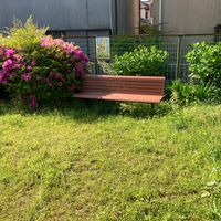 薬師寺荘園第2号児童公園 - 投稿画像2