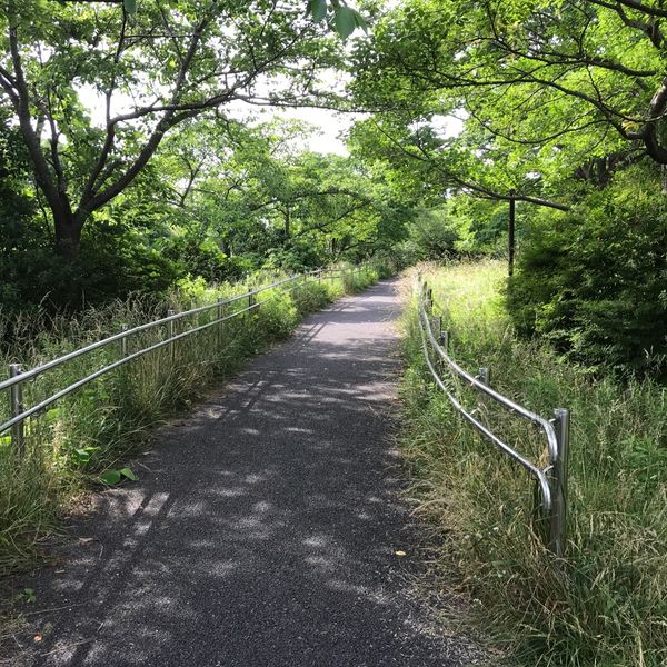 宮ノ森公園 - トップ画像