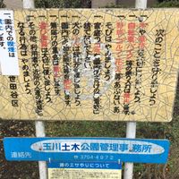 桜新町一丁目広場 - 投稿画像1