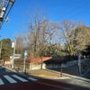 小石川植物園 - トップ画像
