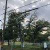 深谷第3幼児公園 - トップ画像