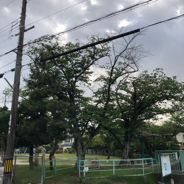深谷第3幼児公園 - おすすめ画像