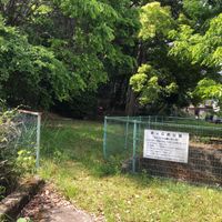 泉が丘西公園 - 投稿画像1