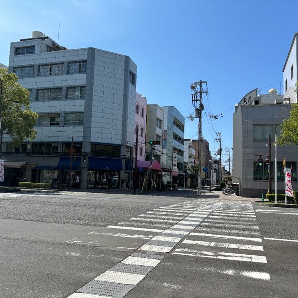 交通量の多い横断歩道 - おすすめ画像