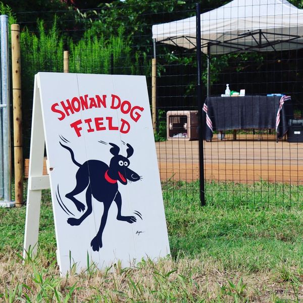 Shonan Dog Field - おすすめ画像