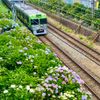 新代田駅(京王) - トップ画像