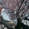 森合阿弥陀堂の桜 - トップ画像