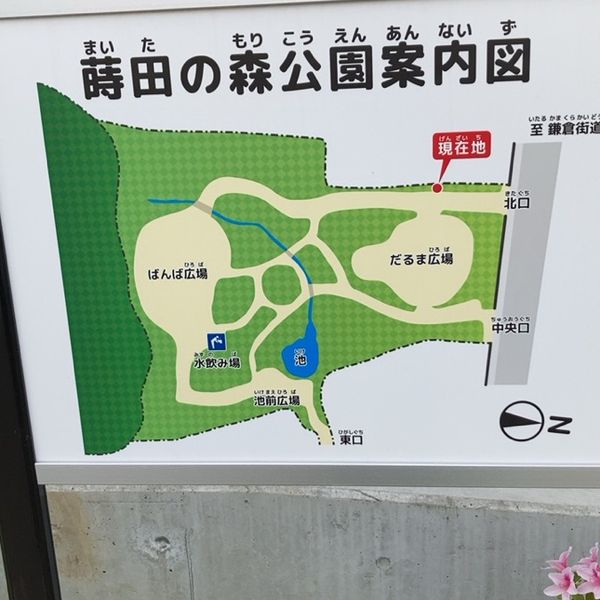 蒔田の森公園 - トップ画像