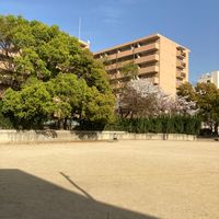 末広公園 - 投稿画像1