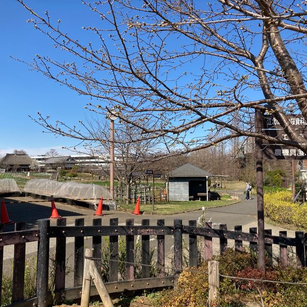 足立区都市農業公園 - トップ画像