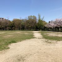 南吹田公園 - 投稿画像0
