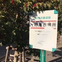 初音児童遊園 - 投稿画像2