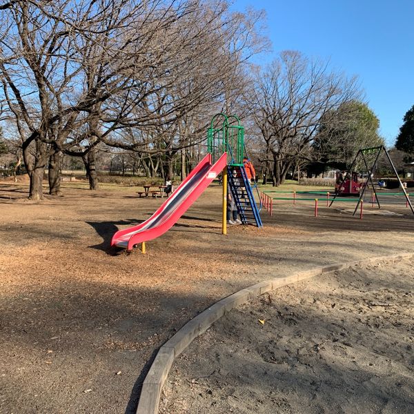 大泉中央公園　アスレチック遊具 - トップ画像