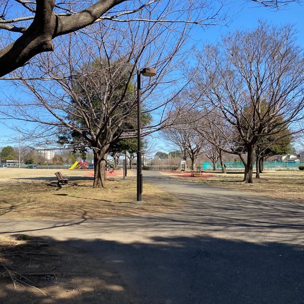 六仙公園 遊具広場 - トップ画像