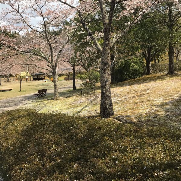 福島空港公園 - おすすめ画像