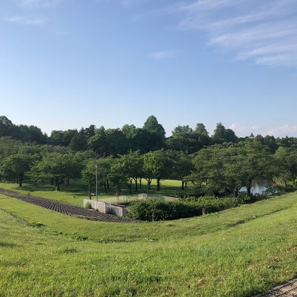 科学万博記念公園 - トップ画像
