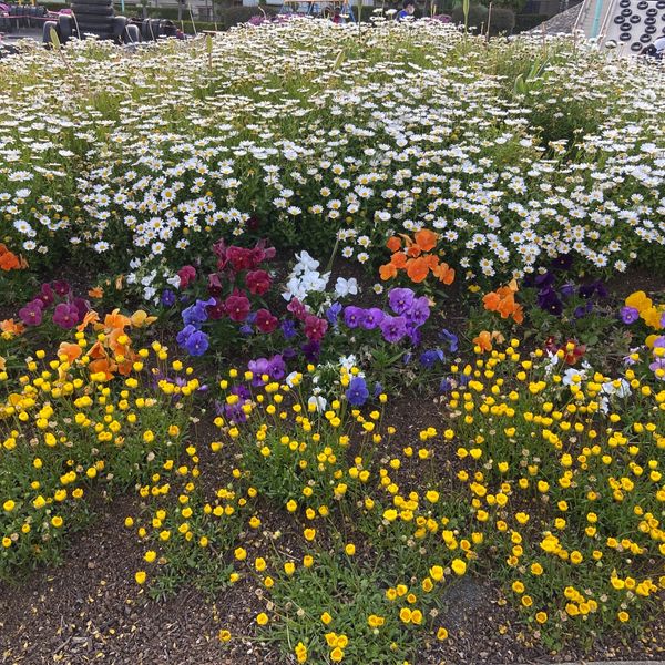 西六郷公園（タイヤ公園） - トップ画像