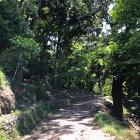大吉山風致公園 - 投稿画像1