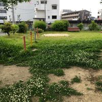 袋尻第１幼児公園 - 投稿画像3