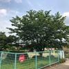 南陵第1児童公園 - トップ画像