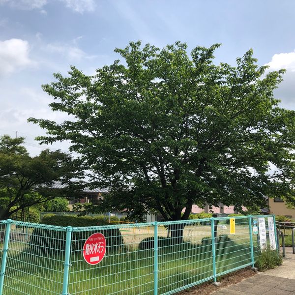 南陵第1児童公園 - おすすめ画像
