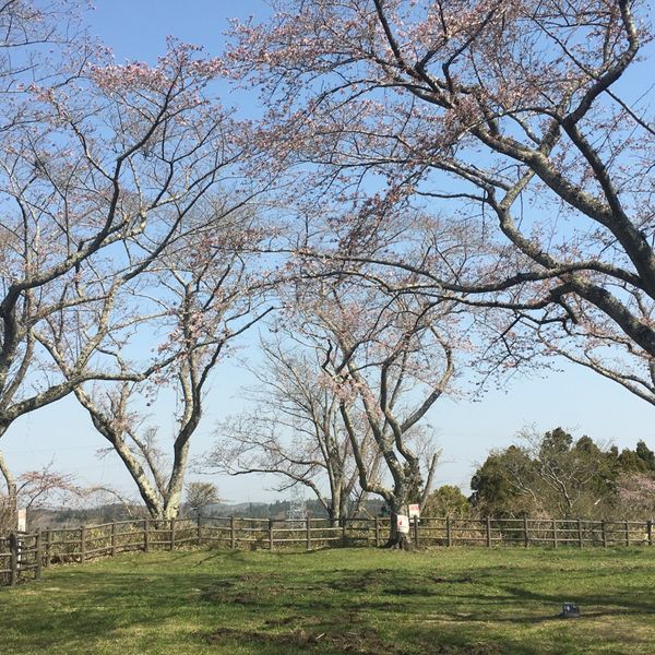 Takamoriyama Kōen / Iwakiri-jō-ato - トップ画像