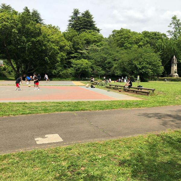 所沢航空記念公園 バスケットハーフコート - トップ画像
