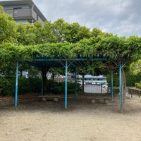 西登美ヶ丘二丁目第3号街区公園 - 投稿画像3