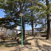 さつき公園 - 投稿画像2