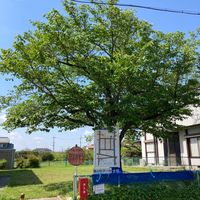 下三橋第1児童公園 - 投稿画像1