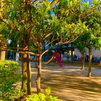 明石児童公園 - 投稿画像0