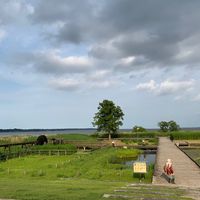 霞ケ浦総合公園 ネイチャーセンター - 投稿画像3