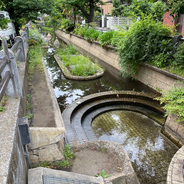 呑川親水公園 - トップ画像