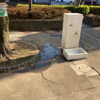 中央公園 - 投稿画像2