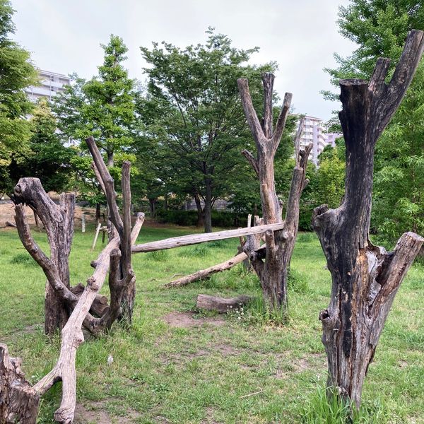 小松川ゆきやなぎ公園 - おすすめ画像