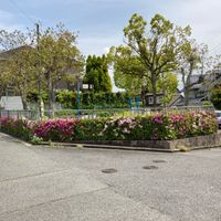 鳥見第8号街区公園 - 投稿画像0