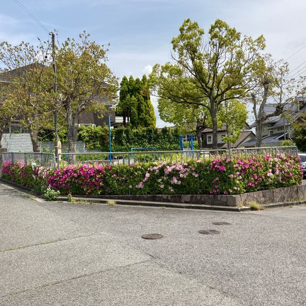 鳥見第8号街区公園 - おすすめ画像