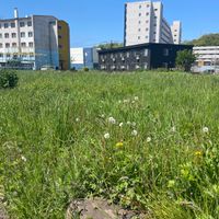 大和公園 - 投稿画像0