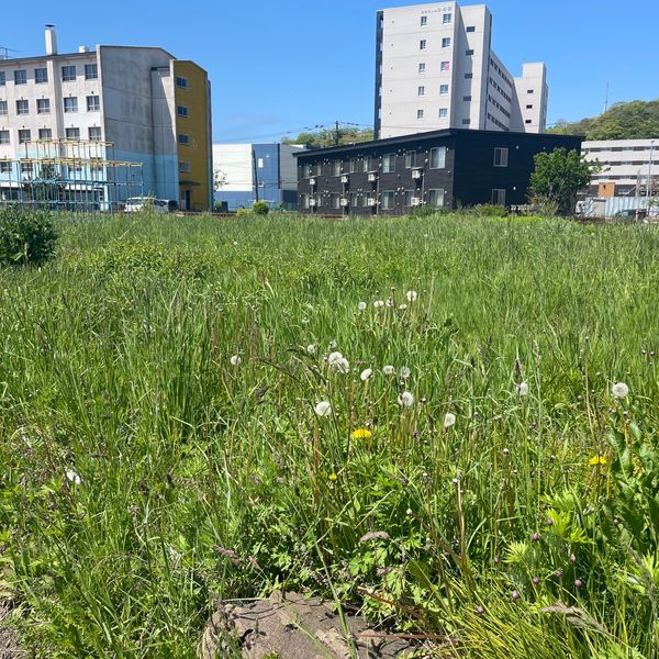 大和公園 - おすすめ画像