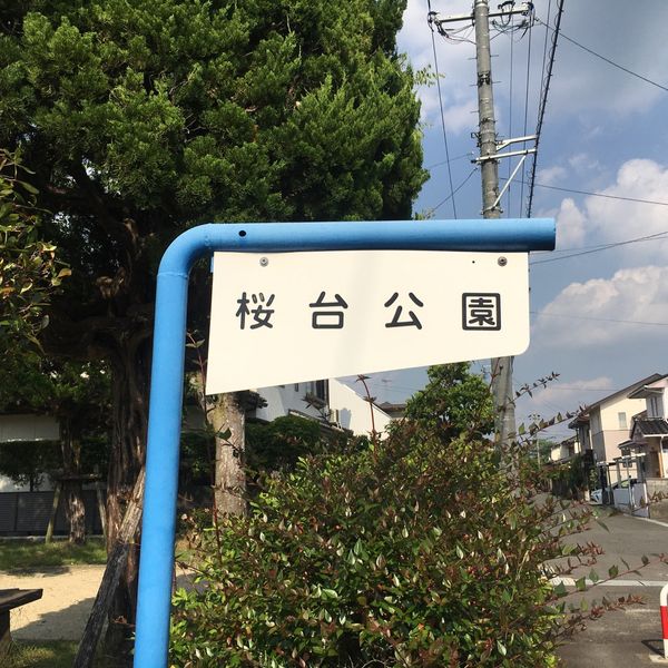 桜台公園 - トップ画像