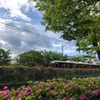 西向日公園 - 投稿画像3