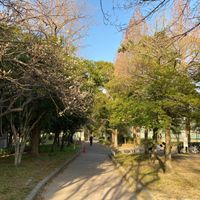 中の島公園 - 投稿画像0