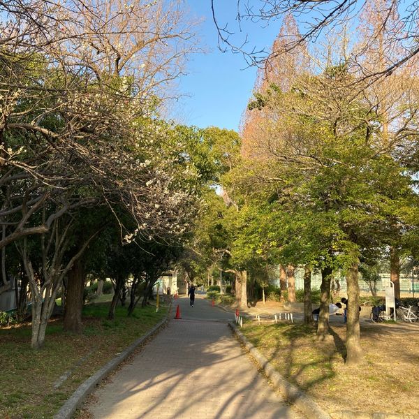 中の島公園 - トップ画像