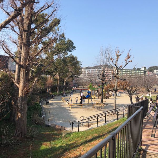 野間大池公園 - トップ画像